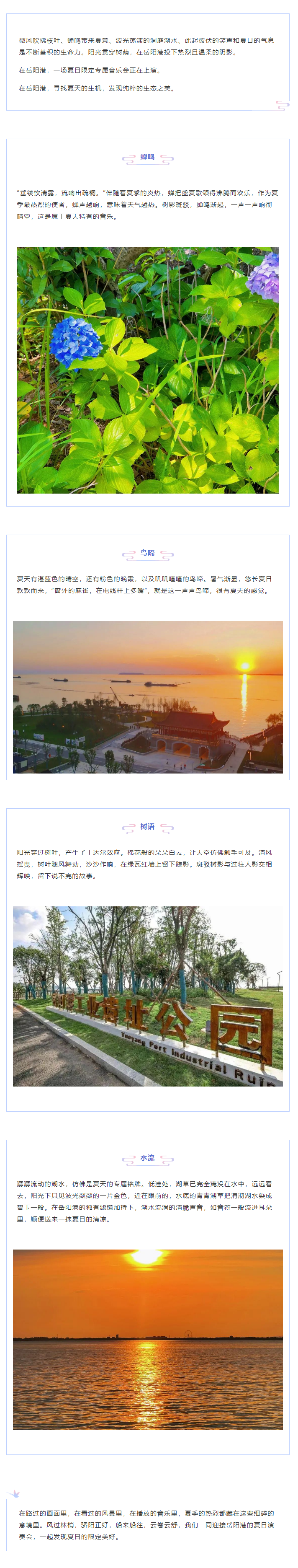 【夏日演奏會】在岳陽港，聆聽夏天的聲音.png